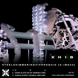 XHIB - Steel Shimmering Viper Squid (2024) [EP]
