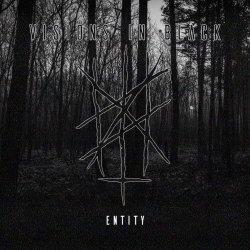 Visions In Black - Entity (2024)