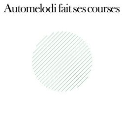 Automelodi - Fait Ses Courses (2009)