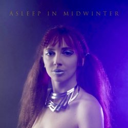 Ships In The Night - Asleep In Midwinter (2023) [EP]