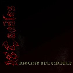 13 Candles - Killing For Culture (2000) [EP]