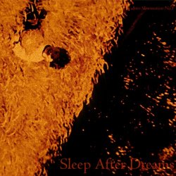 Sleep After Dreams - Into Slowmotion No. 1 (2024) [Single]