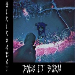 Hikikosect - Does It Burn (Deluxe) (2023)