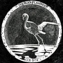 The Black Flamingo - An-N​û​r (2024)