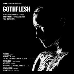 VA - Gothflesh (2024)