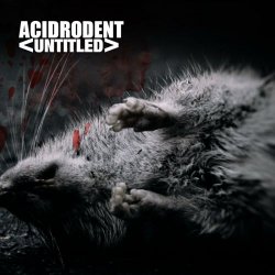 Acidrodent - Untitled (2013)