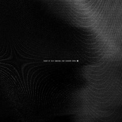 Chelsea Wolfe - House Of Self-Undoing (Boy Harsher Remix) (2024) [Single]