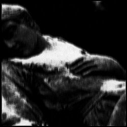 Natures Mortes - Bruises (2024) [Single]