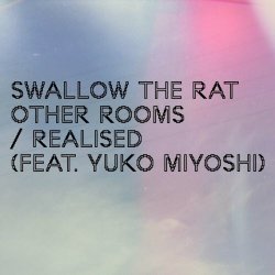 Swallow The Rat - Other Rooms/Realised (2022) [Single]