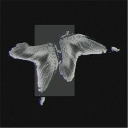Totem - Idealist (2024) [EP]