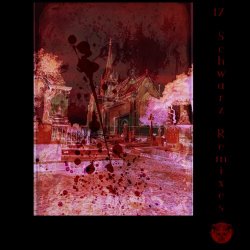 Devil's Breath - 17 Schwarz Remixes (2021)