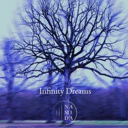 NAMiD'A - Infinity Dreams (2023) [Single]
