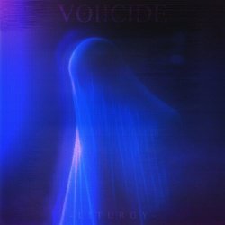 Voiicide - Liturgy (2022)