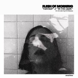 Flesh Of Morning - Fantasy / In The Dark (2020) [Single]