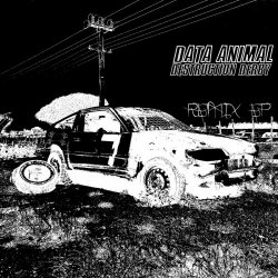 Data Animal - Destruction Derby (2024)