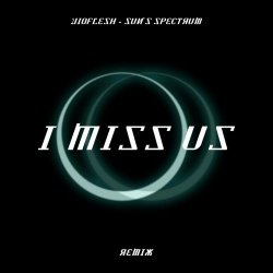 Vioflesh - I Miss Us (Sun's Spectrum Remix Radio Edit) (2024) [Single]