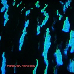 Local Authority - Forever, For Now (2021) [Single]