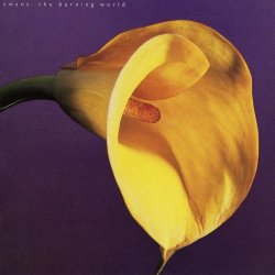 Swans - The Burning World (2024) [Reissue]