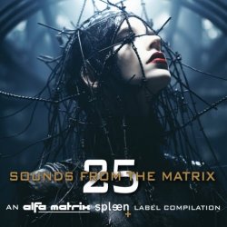 VA - Sounds From The Matrix 025 (2024)