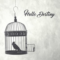 Blind Passenger - Hello Destiny (2022) [Single]