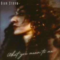 Diar Storm - What You Mean To Me (2024) [Single]