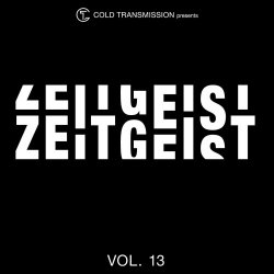 VA - Zeitgeist Vol. 13 (2020)