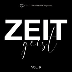 VA - Zeitgeist Vol. 9 (2019)