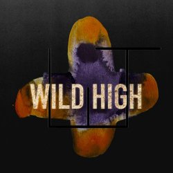 Штадт - Wild High (2024) [Single]