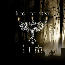 Into The Mist - Into The Mist (2013)