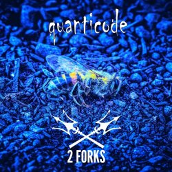 2 Forks - Quanticode (2023)