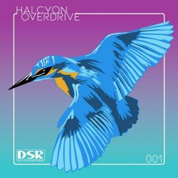 Halcyon Overdrive - 001 (2024) [EP]