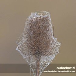 Autoclav1.1 - Gone Long Before The Death Of The Sun (2022)