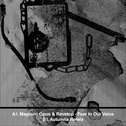 Magnum Opus & Ravetop - Fear In Our Veins (2023) [Single]