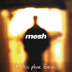 Mesh - In This Place Forever (1996)