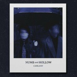 Camlann - Numb And Hollow (2024) [Single]