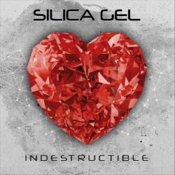 Silica Gel - Indestructible (2021)