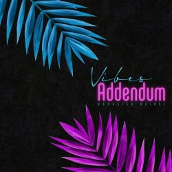 Bronster Bridge - Addendum Vibes (2023)