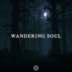 Sentinel Complex - Wandering Soul (2024) [Single]