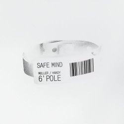 Safe Mind - 6' Pole (2024) [Single]