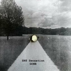 SNS Sensation - Gone (2024) [Single]