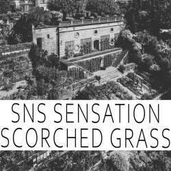 SNS Sensation - Scorched Grass (2022) [Single]