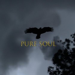 Tevalik - Pure Soul (2024) [EP]