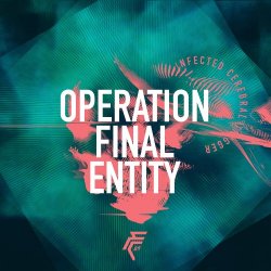 Full Contact 69 - Operation Final Entity (2021) [Single]