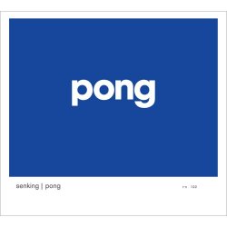 Senking - Pong (2010)