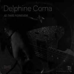 Delphine Coma - Is This Forever (2022) [Single]