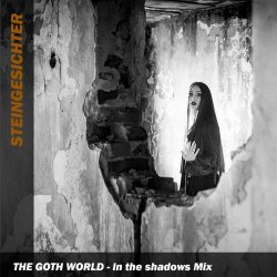 Steingesichter - The Goth World (In The Shadows Mix) (2024) [Single]