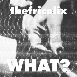 thefricolix - What? (2024) [Single]