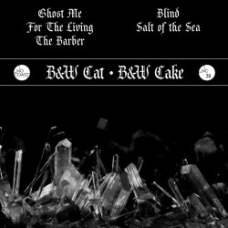 Black & White Cat / Black & White Cake - Demo (2019) [EP]