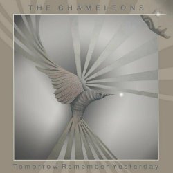 The Chameleons - Tomorrow Remember Yesterday (2024) [EP]