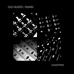 Das Muster - Datatypist (2013)